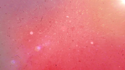 发光的六边形，bokeh，酷酷的抽象球，充满活力的背景