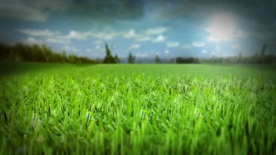 Field Zoom 