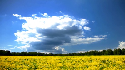 黄田夏景