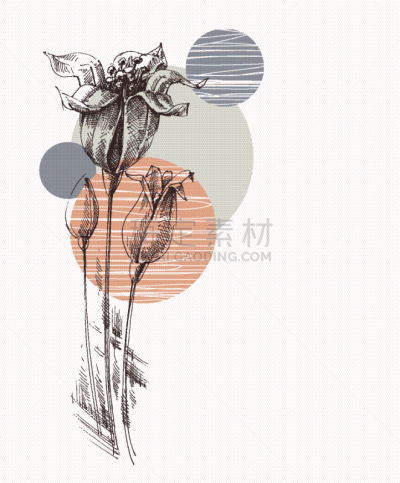 百合花,动物手,贺卡,可爱的,华丽的,壁纸,植物群,绘制,花,问候