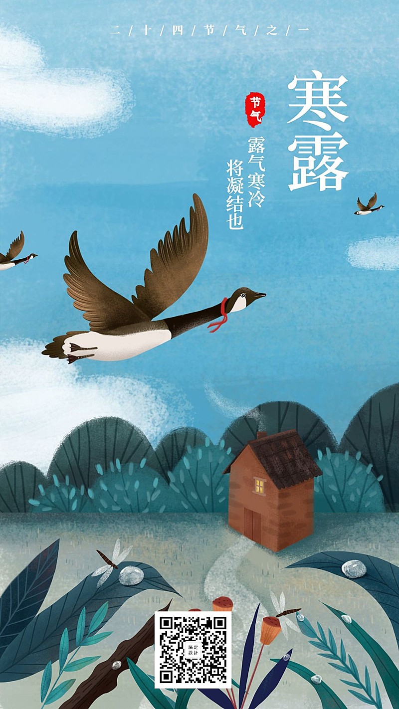 寒露节气手机海报