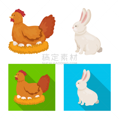 图标,厨房,分离着色,农业,白色,宠物,有机食品,肉,收集