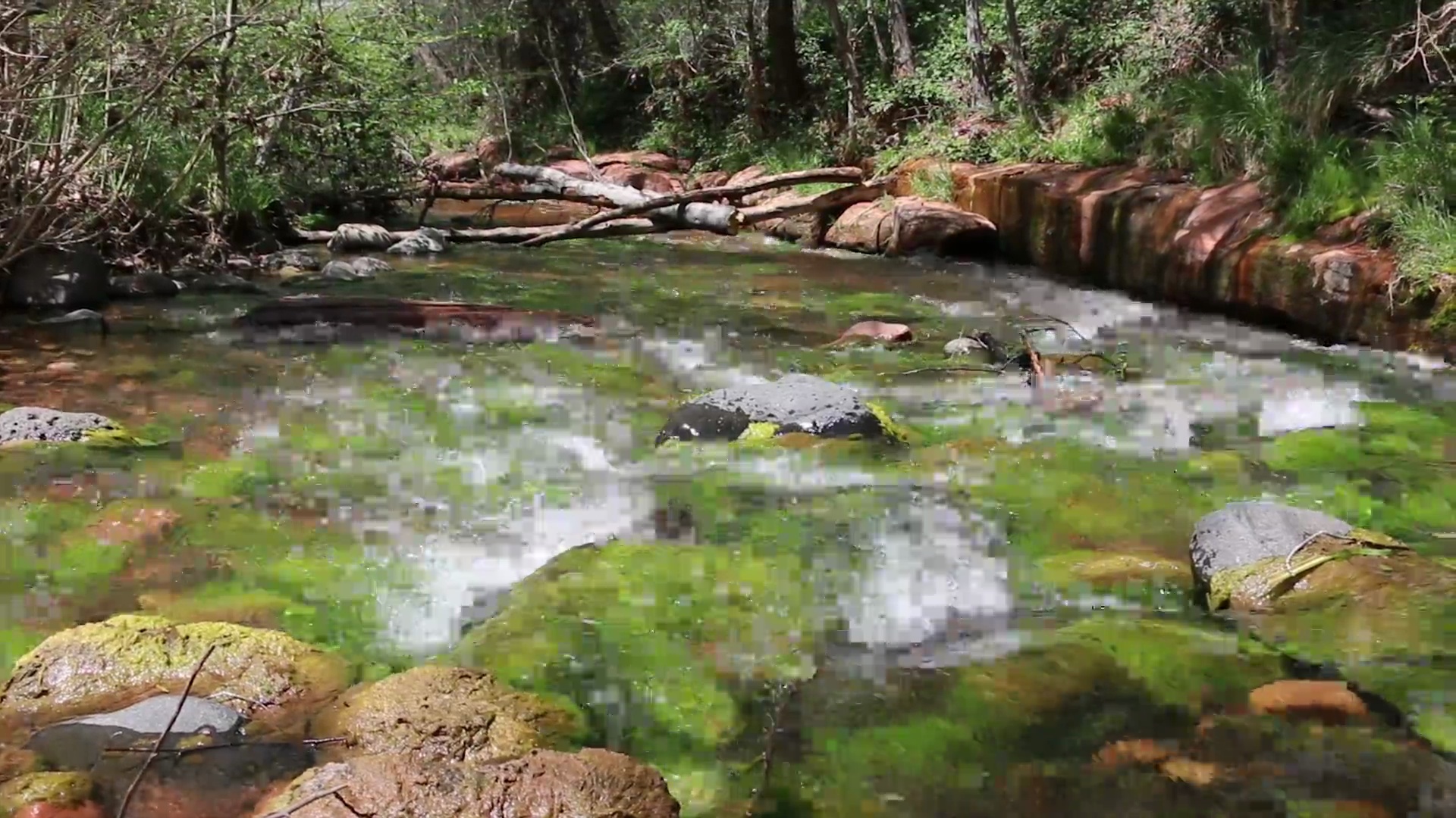 水流过苔藓岩石