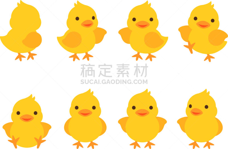 小鸡,多样,绘画插图,舞台,注视镜头,复活节,背景分离,简单,动物群,色彩鲜艳
