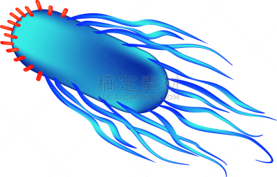 细菌,沙门氏菌,生物学,微生物学,健康保健,人,不卫生的,生病