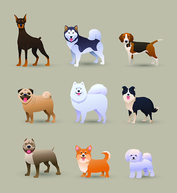 猎狐犬白色 猎狐犬白色图片 猎狐犬白色素材下载 稿定素材 猎狐犬白色 猎狐犬白色图片 猎狐犬白色素材下载 稿定素材