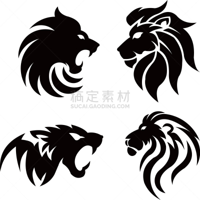 狮子,动物头,分离着色,可爱的,白色,自然,野生动物,图像,哺乳纲,动物