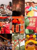 模板缩略图