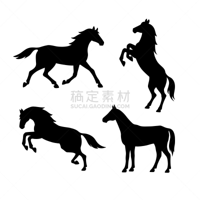 马,侧面视角,跑,白色背景,后腿站立,剪影,跑,跳