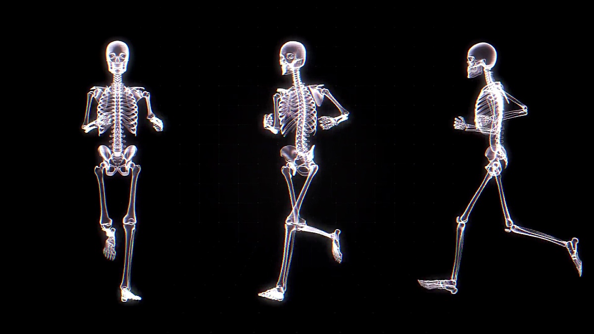 人体骨骼X射线动画|可循环