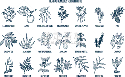 关节炎,状态良好,草药,白色,有疣的,健康保健,植物学,自然,图像,收集