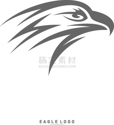 模板,品牌名称,概念,鹰,动物头,国内著名景点,外套,设计