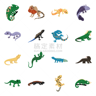 动物,爬行纲,品牌名称,可爱的,热,飘然,灰色,野生动物,环境,哺乳纲
