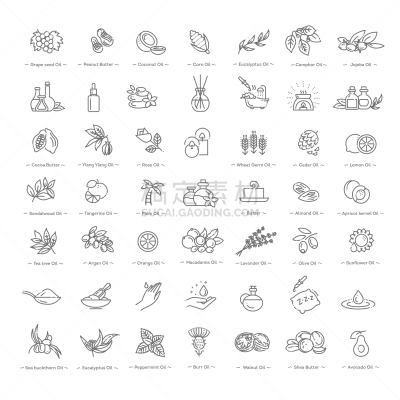 自然,矢量,按摩油,成分,化妆用品,直的,时尚,橄榄油,椰子,细的