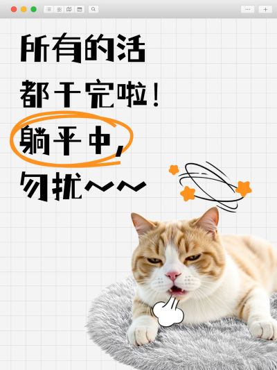 爆款吸睛大字表情包梗图小红书封面aigc