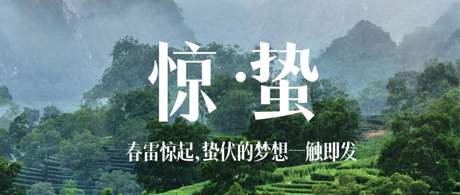 惊蛰问候祝福春天大地公众号首图预览效果