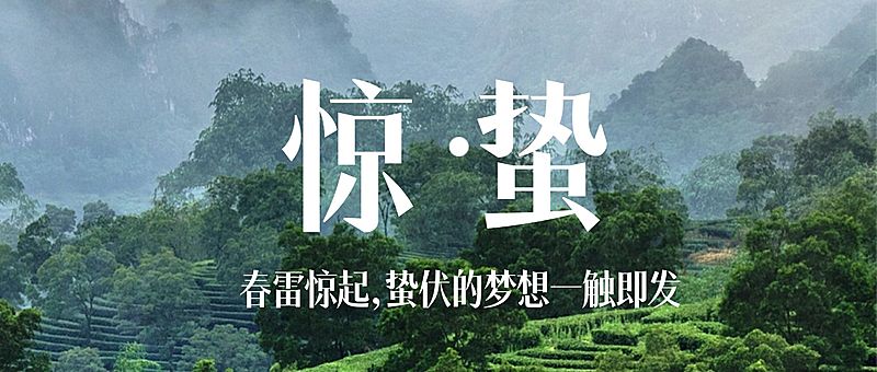 惊蛰问候祝福春天大地公众号首图