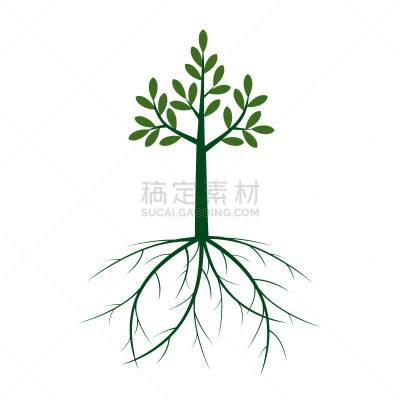 植物,绘画插图,轮廓,叶子,根部,矢量,绿色,菜园,清新,自然界的状态