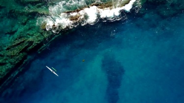 游船上的游客探索毛伊岛海岸的浅滩和海龟