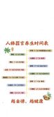 模板缩略图