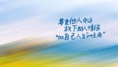 模板缩略图