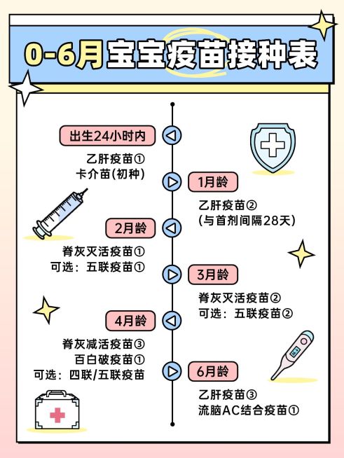 母婴亲子新生儿疫苗接种指南小红书配图预览效果