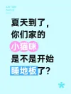 小红书小红书封面视频模板