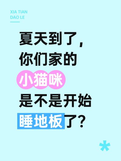 大字撞色背景小红书封面