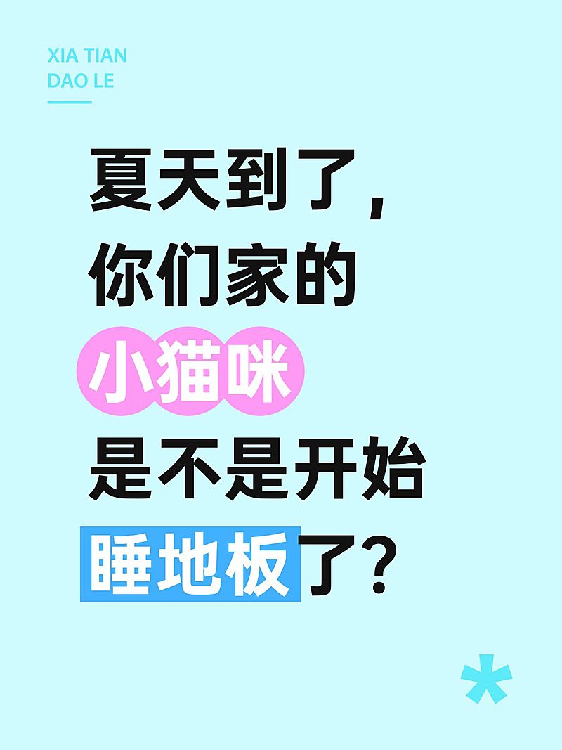 大字撞色背景小红书封面