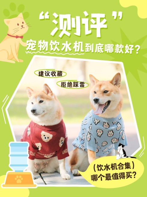 宠物饮水机产品测评小红书套装小红书封面预览效果