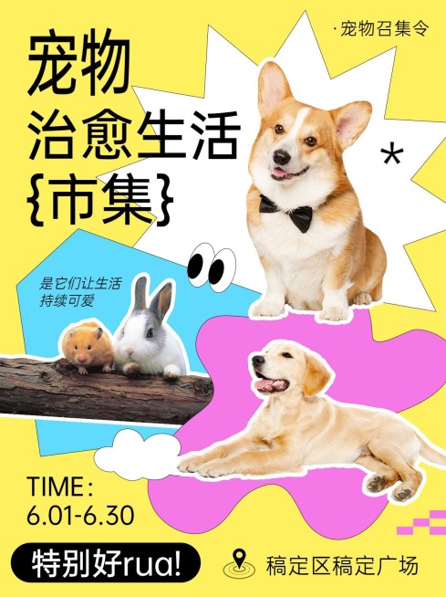 宠物市集宣传活动小红书封面预览效果