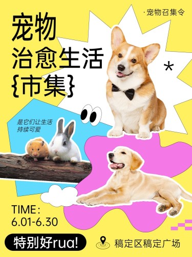 宠物市集宣传活动小红书封面