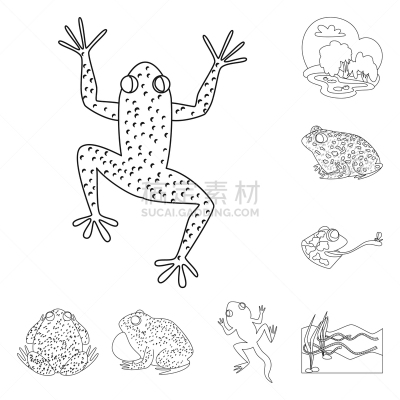 动物,两栖纲,分离着色,一个物体,品牌名称,生物学,有毒物质,灰色,野生动物,青蛙