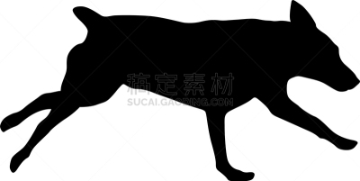 狗,杜宾犬,白色,纯种犬,哺乳纲,动物,吠声,动物雪车,剪影,训练