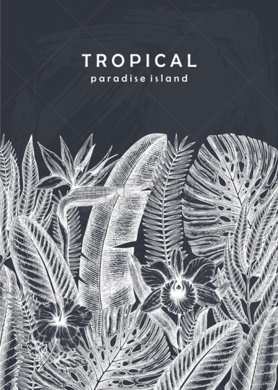 summer design with tropical plants hand drawn
