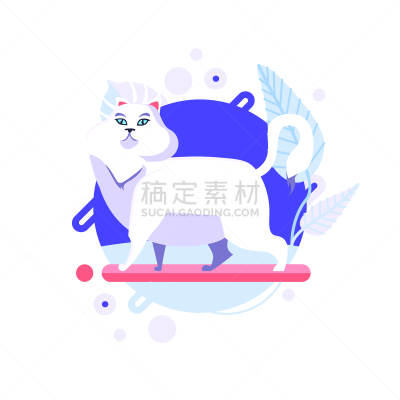 卡通,乐趣,宠物,矢量,绘画插图,性格,分离着色,土耳其,纯种猫,可爱的