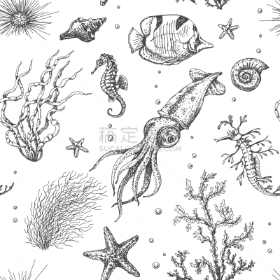 式样,水下,生物,白色,环境,图像,海洋,植物群,海星,海马