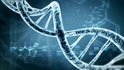用公式背景旋转DNA