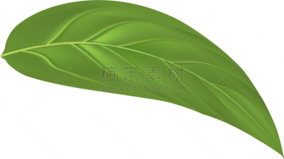 叶子,绿色,桃,清新,食品,果酱,维生素,果汁,熟的,写实