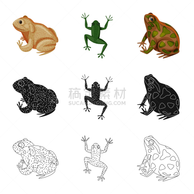 野生动物,藓沼,计算机图标,生物学,有毒物质,青蛙,动物,牛蛙,两栖纲,人类腺体