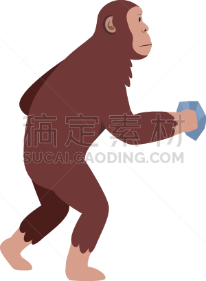 南方古猿,灵长目,石材,白色,家谱,远古的,过去,男人,图像,猿