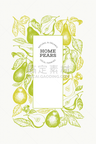 梨,模板,水果,动物手,式样,菜园,素食,菜单,清新,绘制