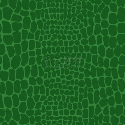 动物皮,绘画插图,鳄鱼,矢量,式样,动物花纹,纺织品,华贵,摩尔多瓦共和国,蜥蜴