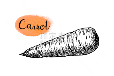 ink sketch carrot