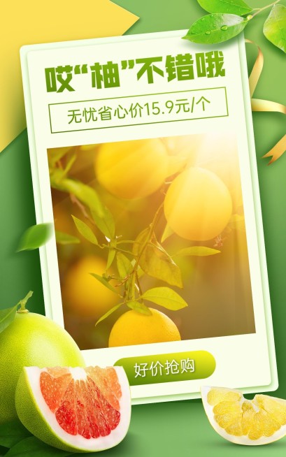 清新生鲜食品水果柚子海报预览效果