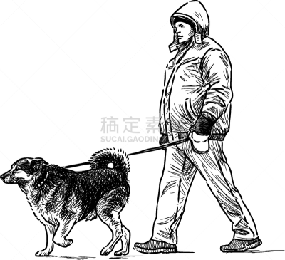 狗,一个人,宠物,纯种犬,男人,图像,莱卡犬,猎犬,家畜,散步