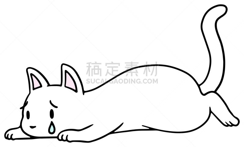 矢量,绘画插图,猫,惊骇,十二生肖,恐怖,简单,动物,宠物商店