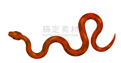 矢量,蛇,红色,巨蟒,视角,计算机图标,顶部,背景分离,蛇皮纹,野生动物