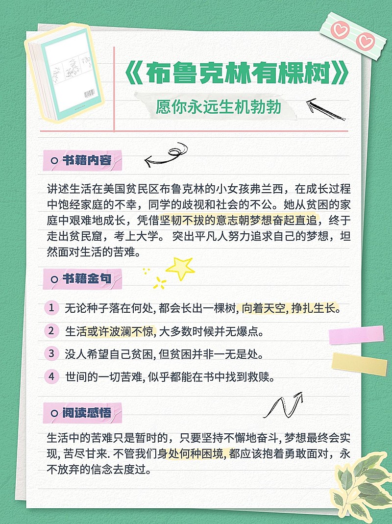 读书笔记知识科普小红书配图