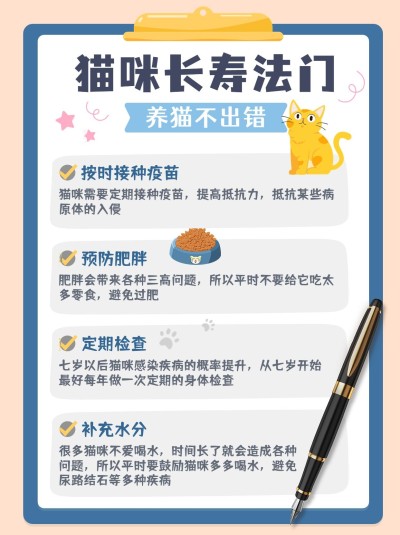 宠物知识科普小红书配图
